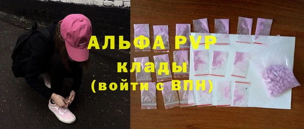индика Аркадак
