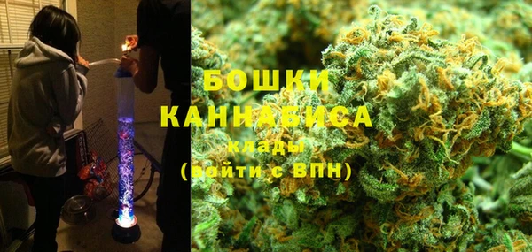 индика Аркадак