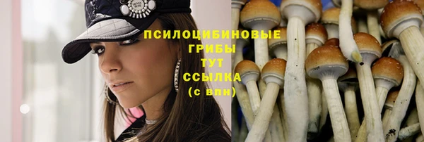 индика Балахна