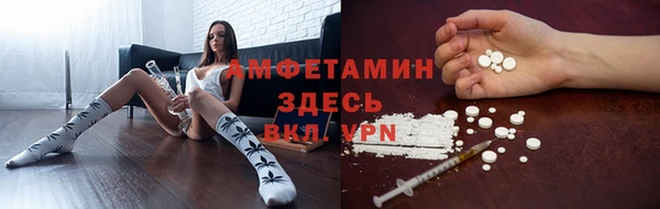 индика Аркадак