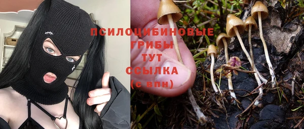2c-b Арсеньев