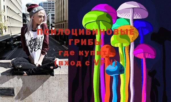 стаф Пересвет