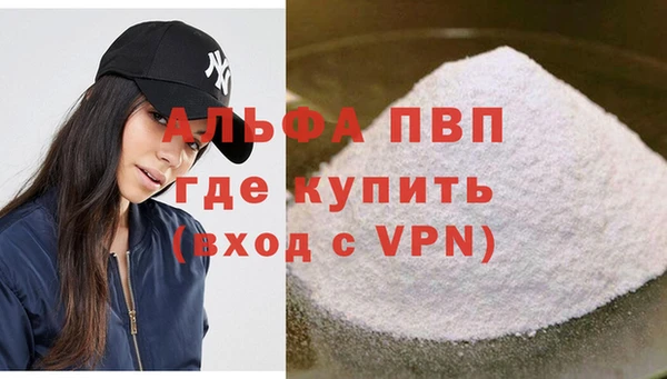 индика Аркадак