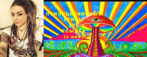 индика Аркадак